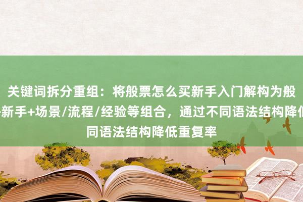 关键词拆分重组：将般票怎么买新手入门解构为般票购买+新手+场景/流程/经验等组合，通过不同语法结构降低重复率