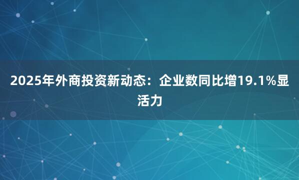2025年外商投资新动态：企业数同比增19.1%显活力