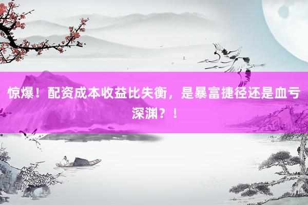惊爆！配资成本收益比失衡，是暴富捷径还是血亏深渊？！